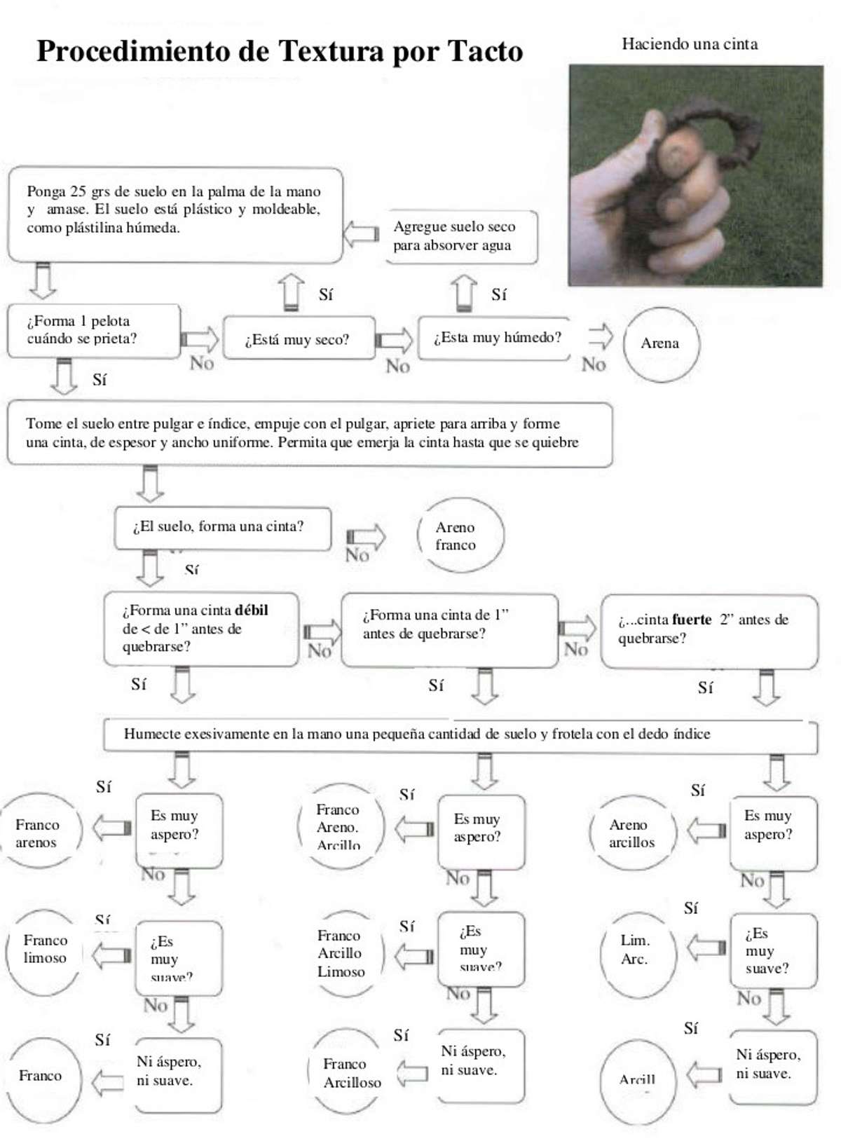 RN4 figure 5 Esp